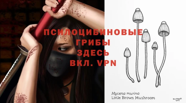 герыч Бронницы